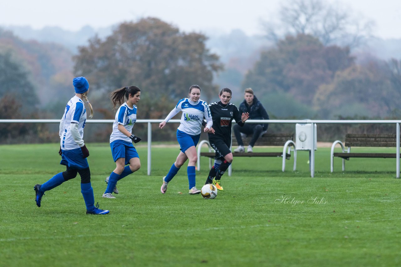 Bild 156 - Frauen SV Henstedt Ulzburg III - Bramstedter TS : Ergebnis: 1:0